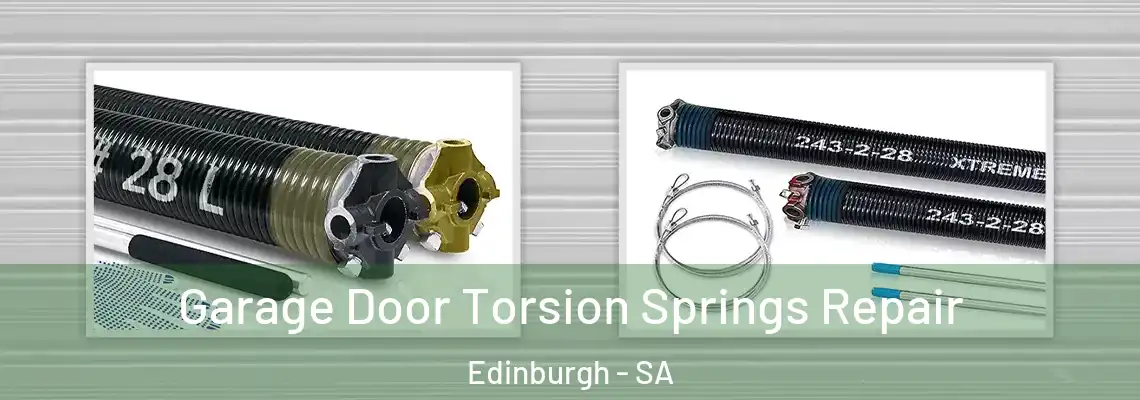  Garage Door Torsion Springs Repair Edinburgh - SA