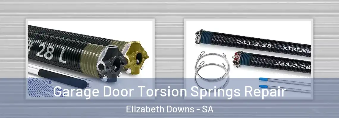  Garage Door Torsion Springs Repair Elizabeth Downs - SA