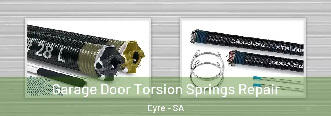 Garage Door Torsion Springs Repair Eyre - SA