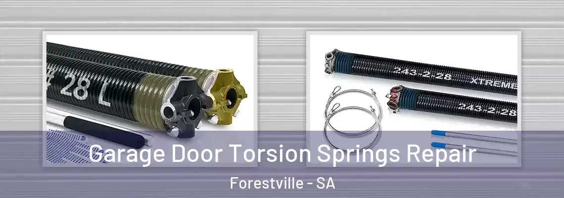  Garage Door Torsion Springs Repair Forestville - SA