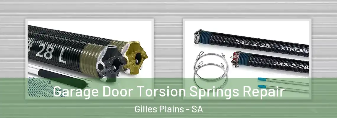  Garage Door Torsion Springs Repair Gilles Plains - SA