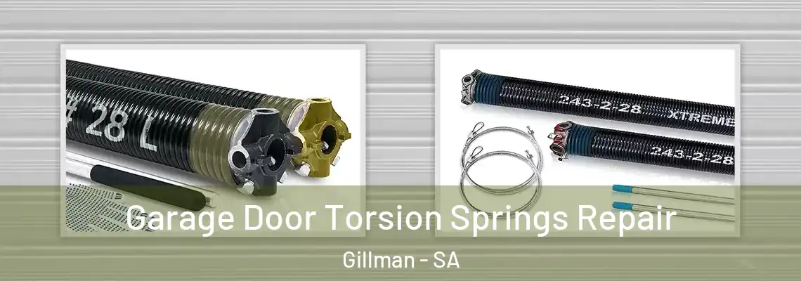  Garage Door Torsion Springs Repair Gillman - SA