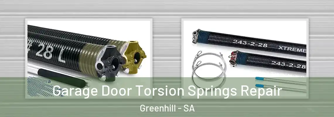  Garage Door Torsion Springs Repair Greenhill - SA