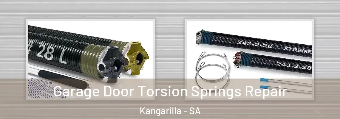  Garage Door Torsion Springs Repair Kangarilla - SA