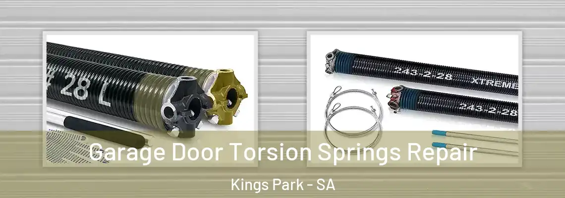  Garage Door Torsion Springs Repair Kings Park - SA
