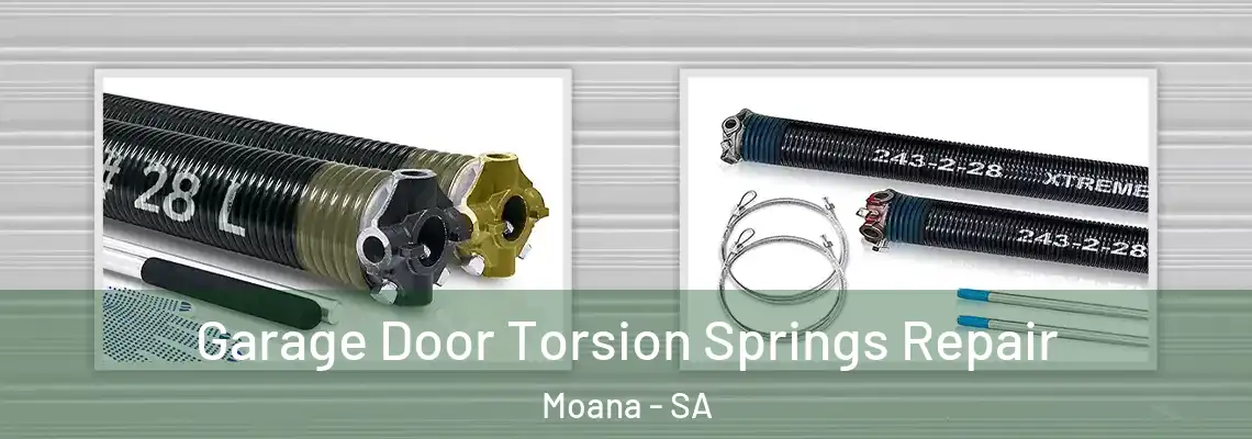  Garage Door Torsion Springs Repair Moana - SA
