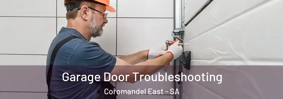 Garage Door Troubleshooting Coromandel East - SA