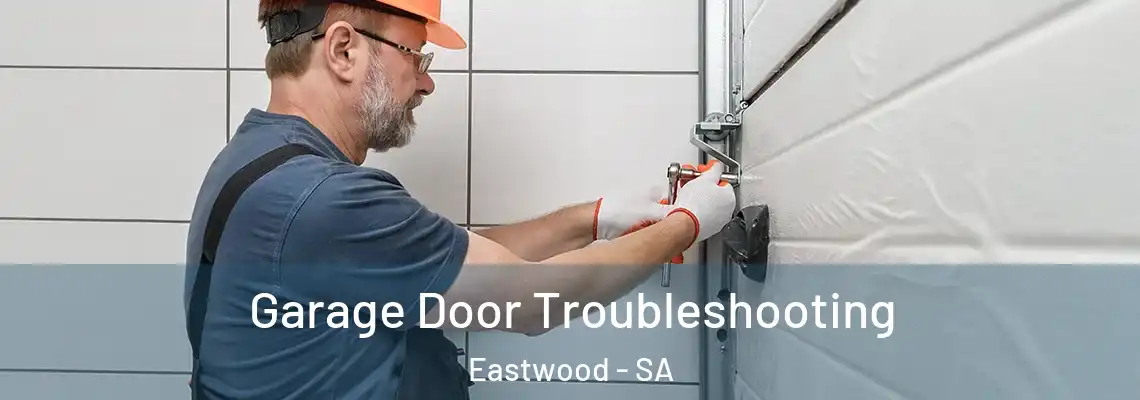  Garage Door Troubleshooting Eastwood - SA