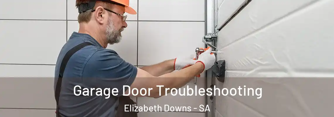  Garage Door Troubleshooting Elizabeth Downs - SA