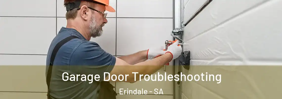  Garage Door Troubleshooting Erindale - SA