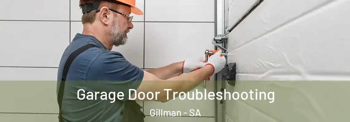  Garage Door Troubleshooting Gillman - SA
