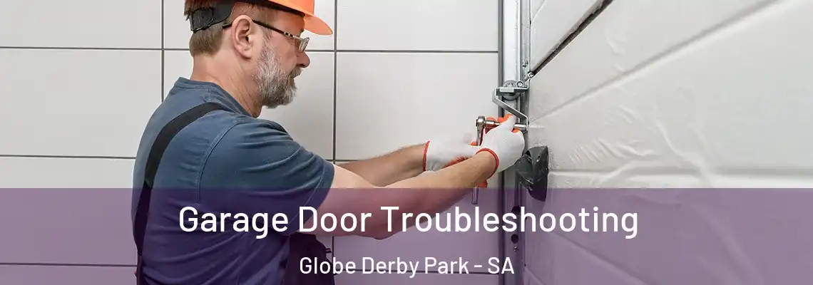  Garage Door Troubleshooting Globe Derby Park - SA
