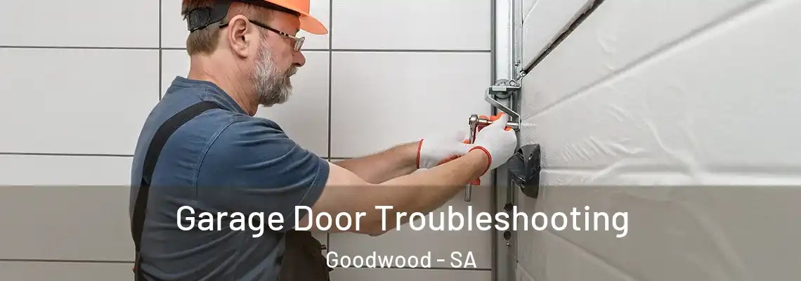  Garage Door Troubleshooting Goodwood - SA