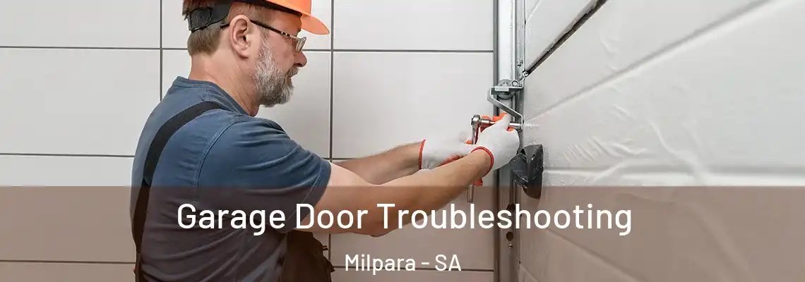  Garage Door Troubleshooting Milpara - SA