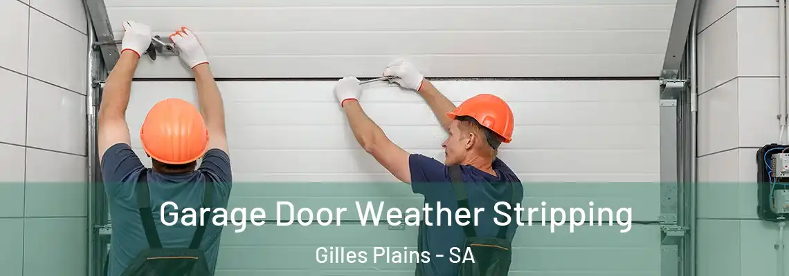  Garage Door Weather Stripping Gilles Plains - SA
