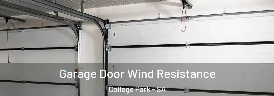  Garage Door Wind Resistance College Park - SA