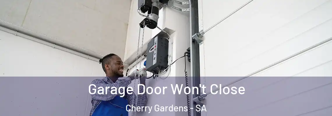  Garage Door Won't Close Cherry Gardens - SA