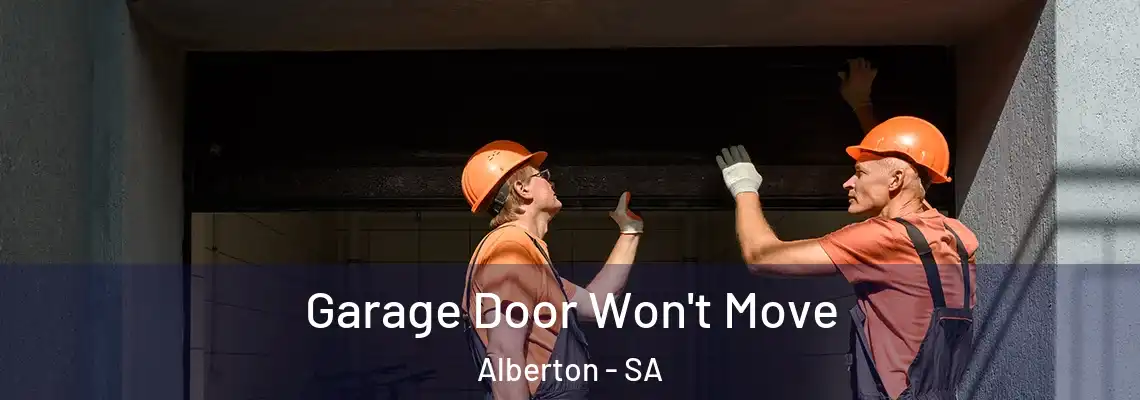  Garage Door Won't Move Alberton - SA