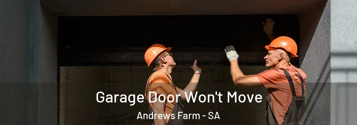  Garage Door Won't Move Andrews Farm - SA