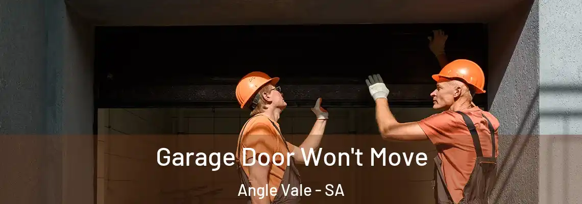  Garage Door Won't Move Angle Vale - SA