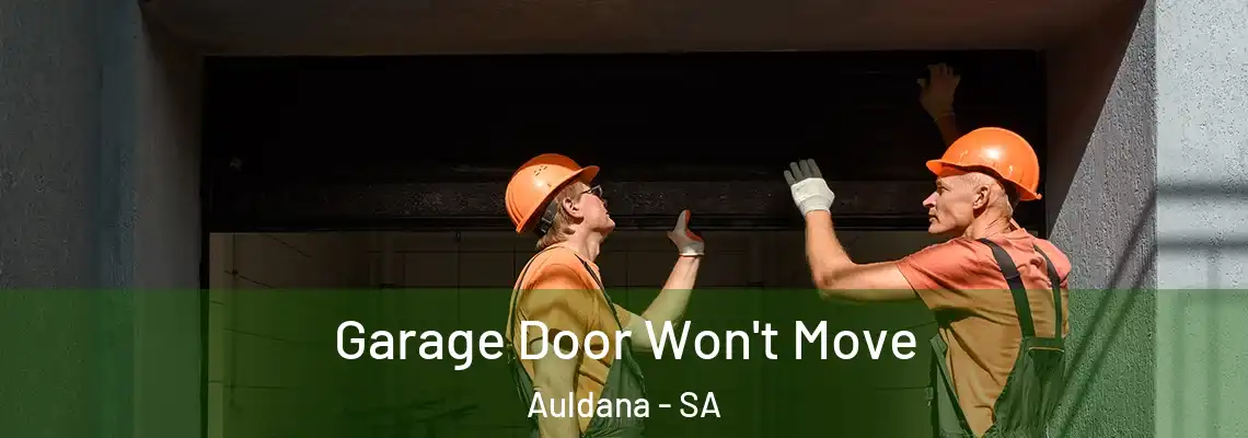  Garage Door Won't Move Auldana - SA