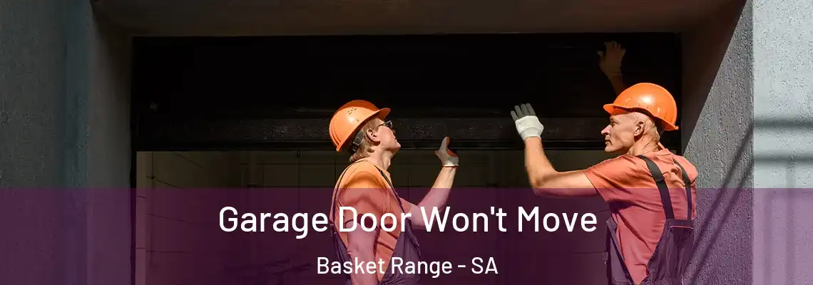  Garage Door Won't Move Basket Range - SA