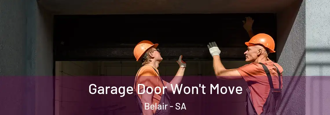  Garage Door Won't Move Belair - SA