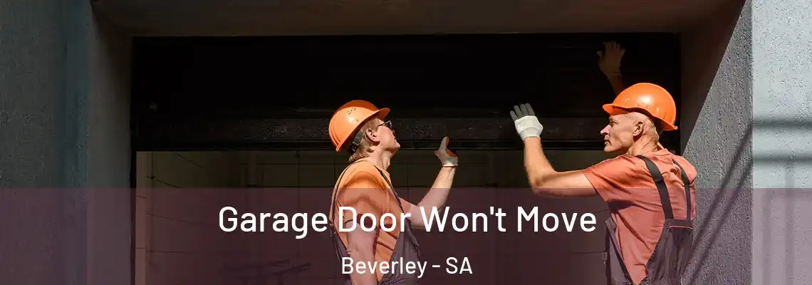  Garage Door Won't Move Beverley - SA