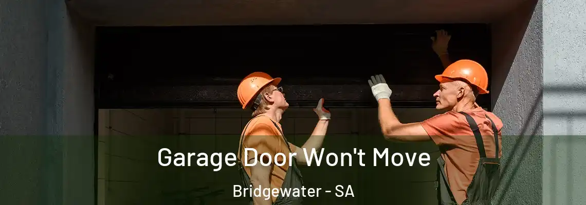  Garage Door Won't Move Bridgewater - SA
