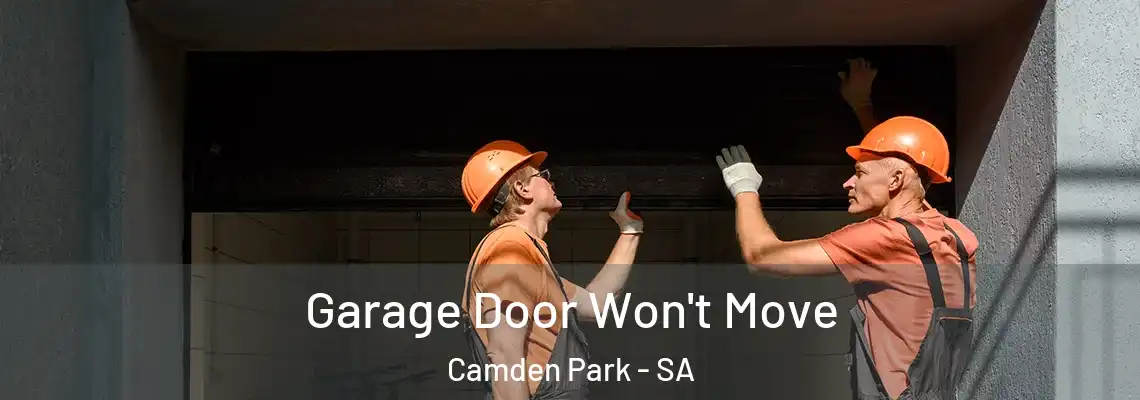  Garage Door Won't Move Camden Park - SA