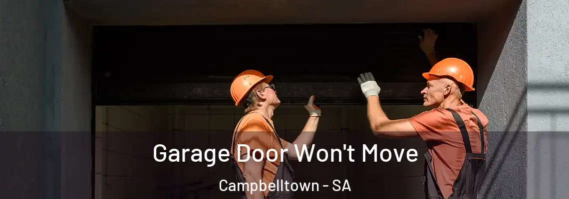  Garage Door Won't Move Campbelltown - SA