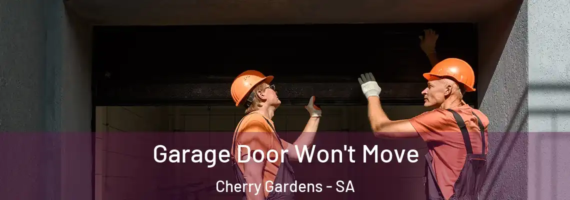  Garage Door Won't Move Cherry Gardens - SA