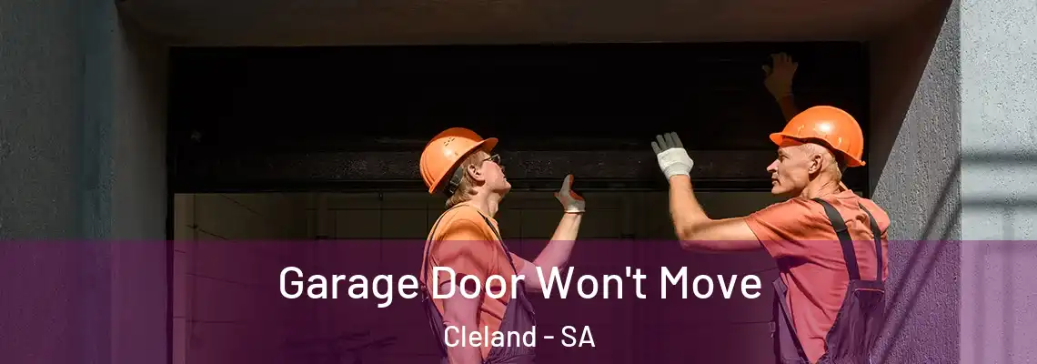  Garage Door Won't Move Cleland - SA