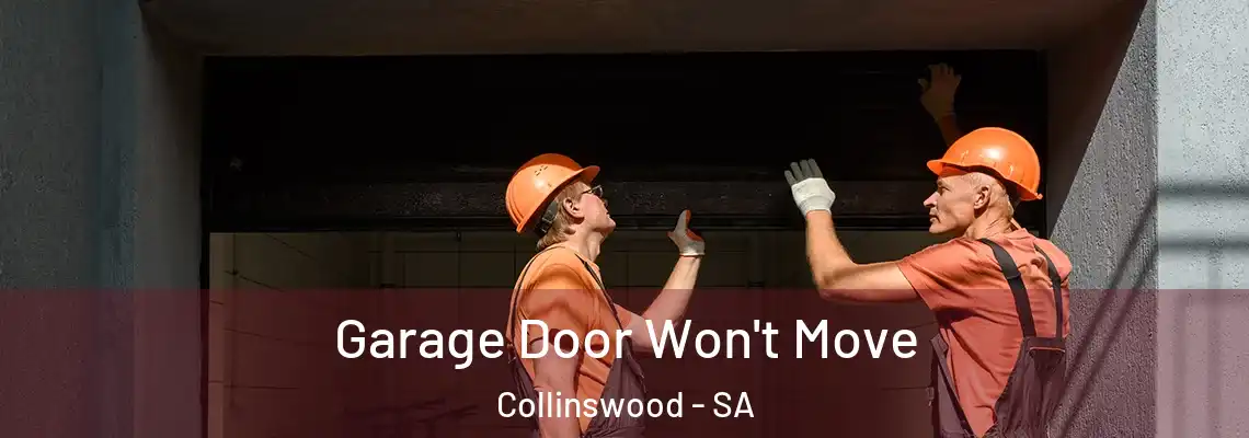  Garage Door Won't Move Collinswood - SA