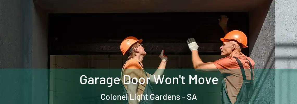  Garage Door Won't Move Colonel Light Gardens - SA