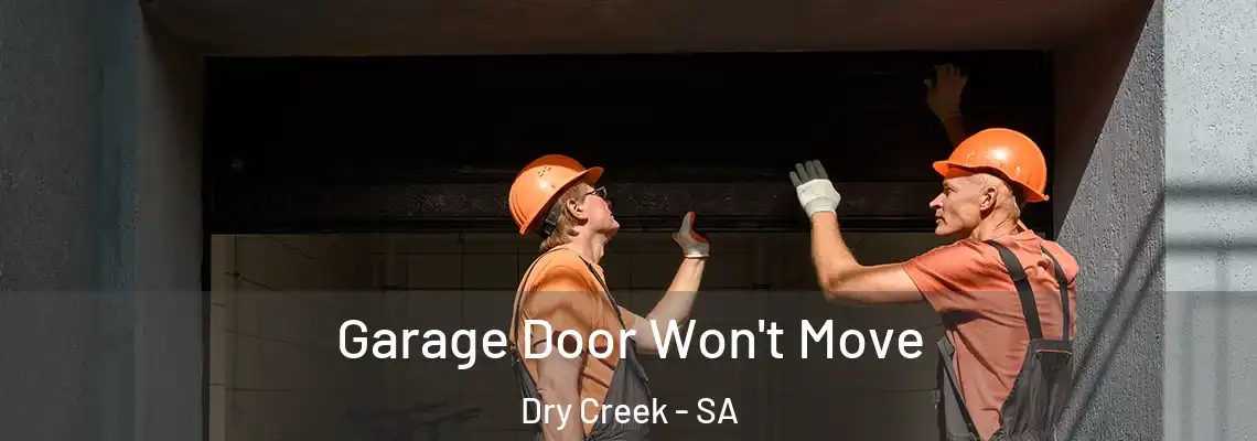 Garage Door Won't Move Dry Creek - SA