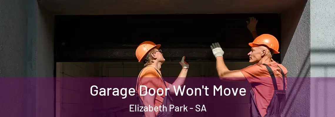  Garage Door Won't Move Elizabeth Park - SA