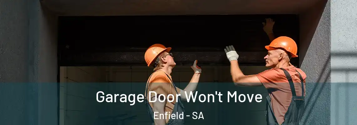  Garage Door Won't Move Enfield - SA