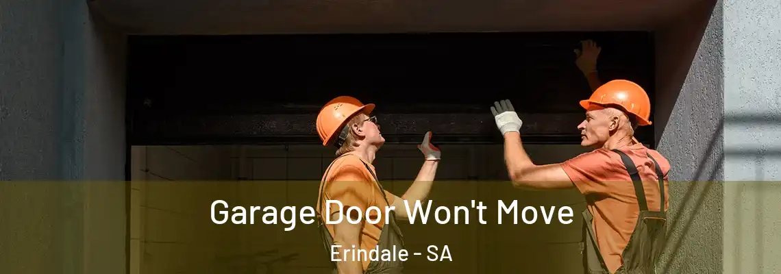  Garage Door Won't Move Erindale - SA