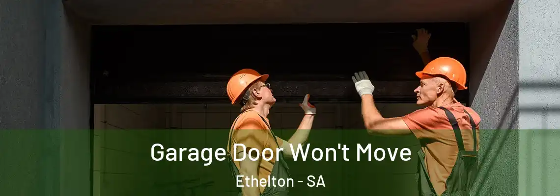 Garage Door Won't Move Ethelton - SA