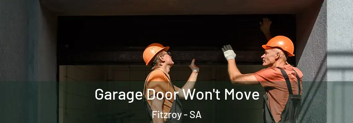  Garage Door Won't Move Fitzroy - SA