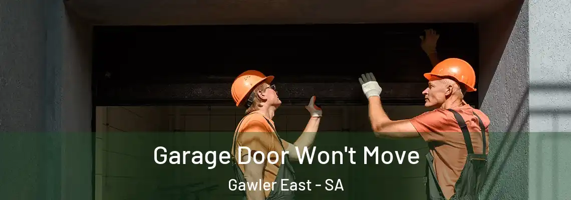  Garage Door Won't Move Gawler East - SA