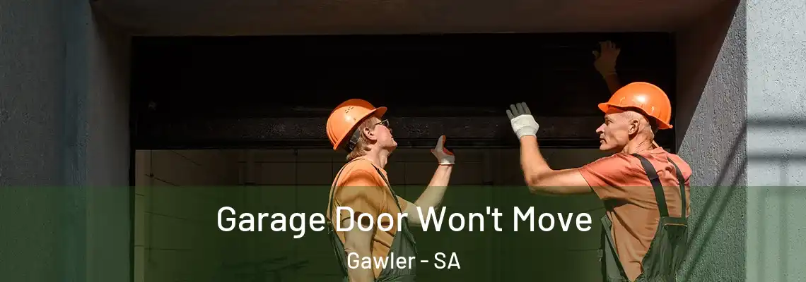  Garage Door Won't Move Gawler - SA
