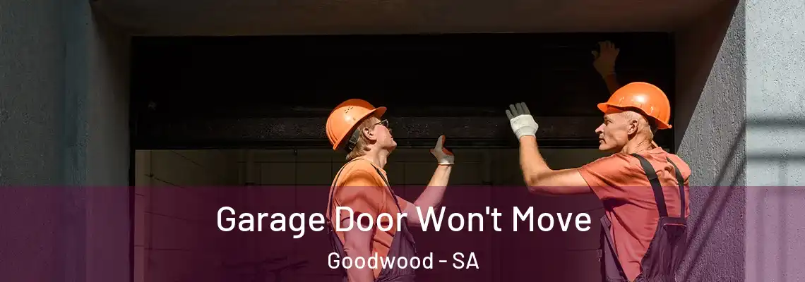  Garage Door Won't Move Goodwood - SA