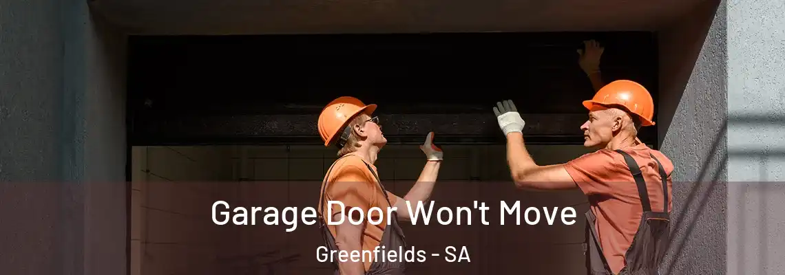  Garage Door Won't Move Greenfields - SA