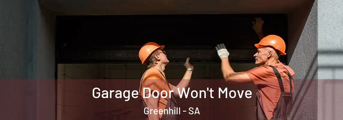  Garage Door Won't Move Greenhill - SA