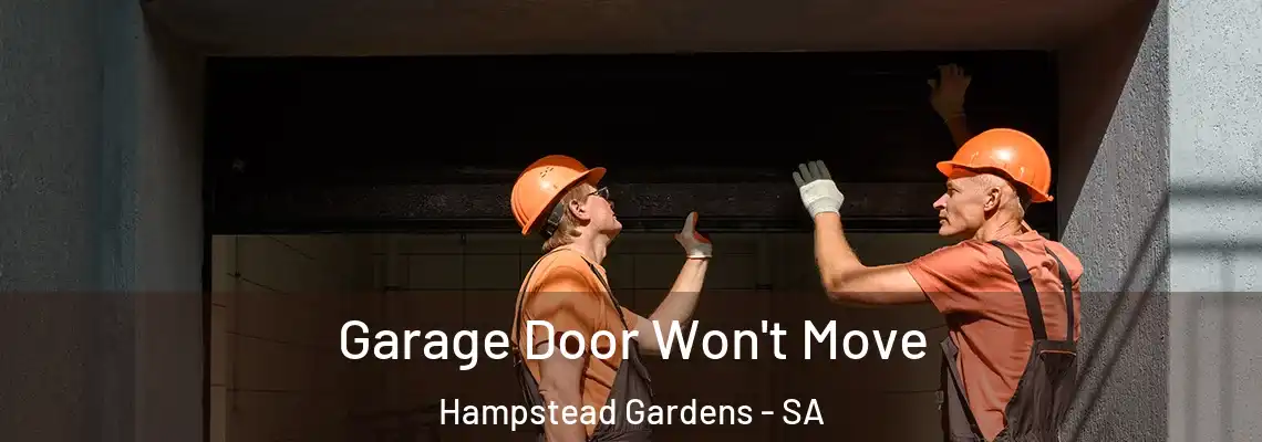  Garage Door Won't Move Hampstead Gardens - SA