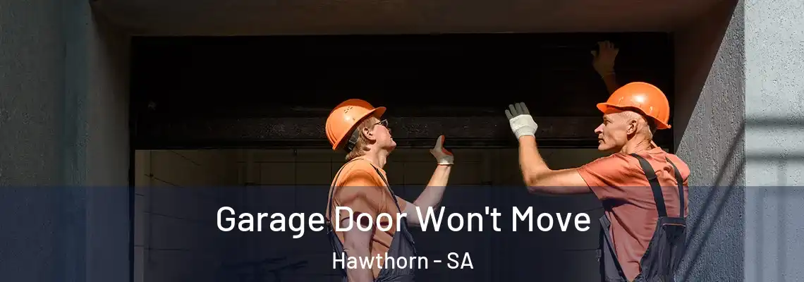  Garage Door Won't Move Hawthorn - SA