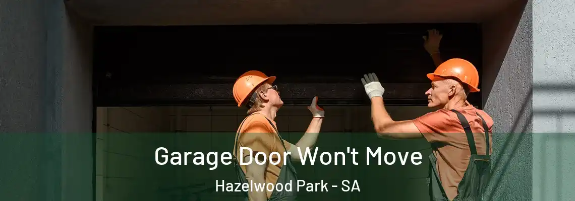  Garage Door Won't Move Hazelwood Park - SA
