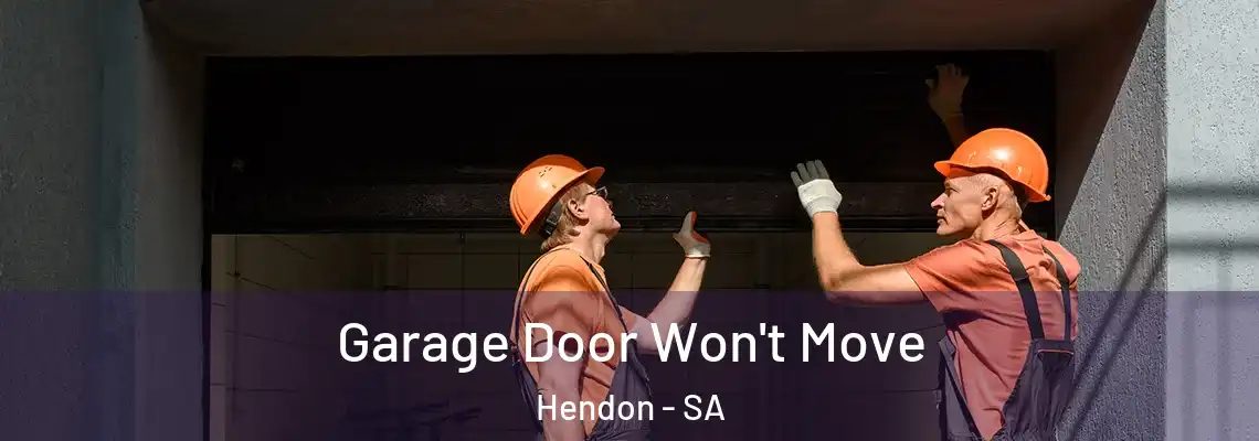  Garage Door Won't Move Hendon - SA